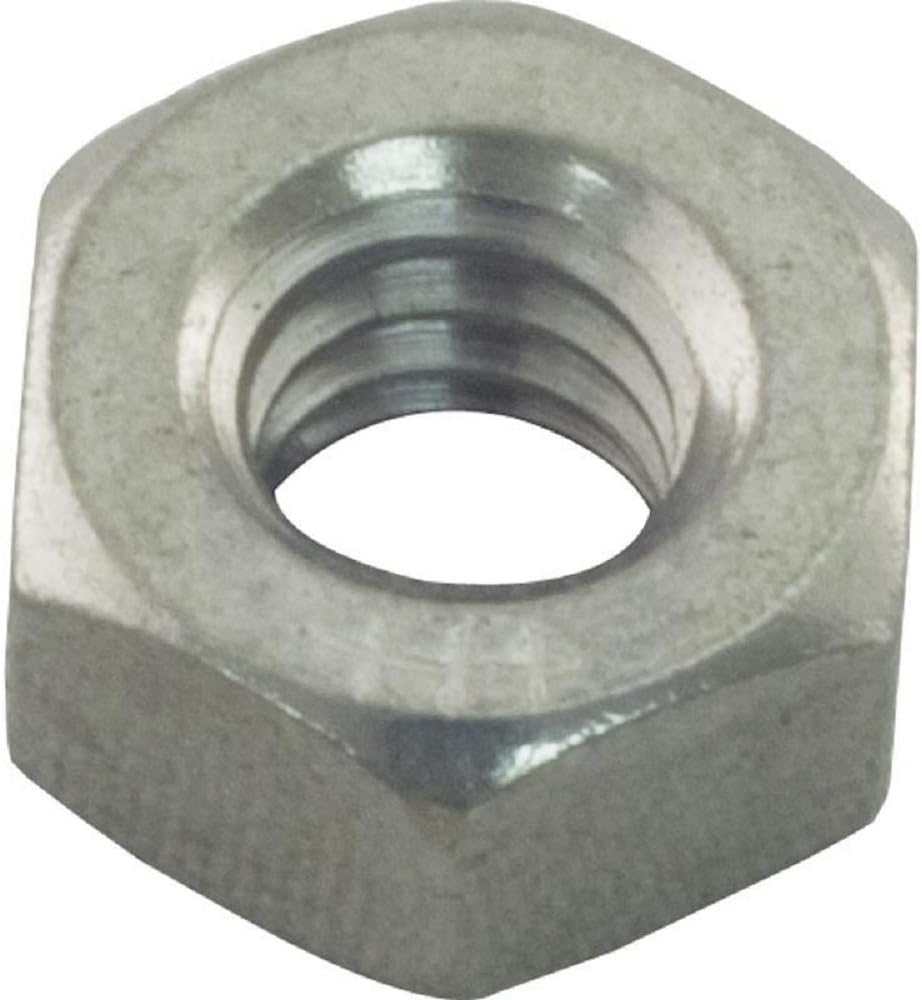 IntelliFloVSF/WhisperFlo VST Pump Nut 1/4-20 Hex Stainless Steel - Whisperflo Vst | 071406