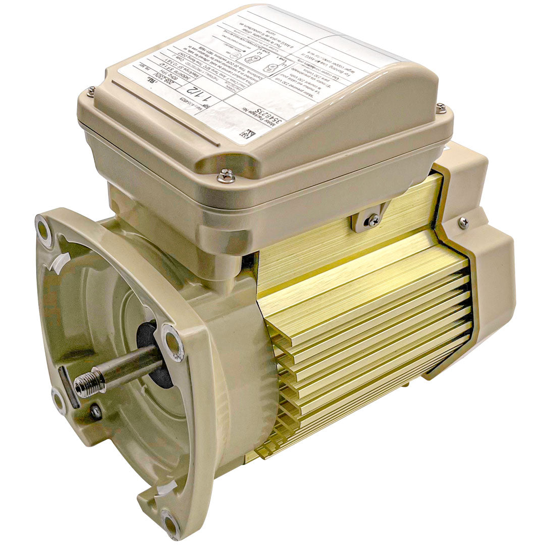 Pentair 354823S 1.5HP Motor 1-Phase TEFC – Whisperflo Pump Parts And Accessories