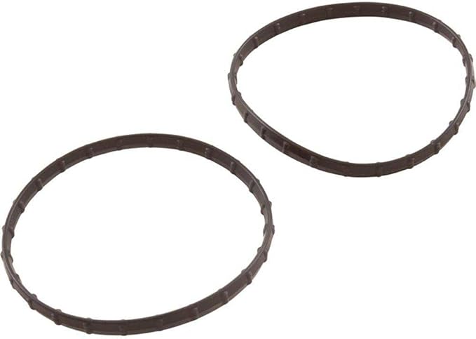 Pentair 178746Z Kit Seal Diamond 2.403 Replacement â€“ Clean Clear Rp 100 Cartridge Filter