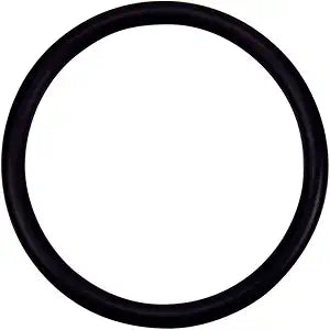 Pentair 274494Z O-Ring 2-332 Valve Adapter â€“ Triton Ii Sid.E. Mount Filter No Valve Tr140 2