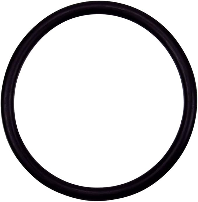 Pentair 154492 Triton Ii Sid.E. Mount Filter No Valve Tr60 2 â€“ OÃ¢â‚¬â€˜Ring 3/16" x 2 5/8" ID