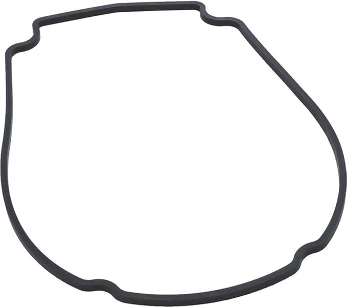 Faceplate Gasket for Mini SVL Champion - Power D.E.Fend.E.R 270 Variable Speed Pump | 806-1400