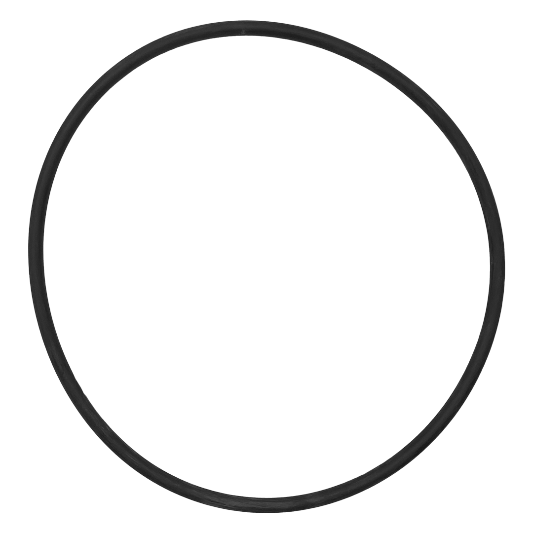 IntelliFloXF/WhisperFloXF VSF/VS Pump Seal Plate O-Ring - Intellifloxf Vs After August 2015 || 351446