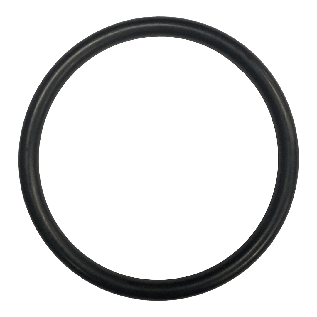 Hayward MaxFlo VS Pump Diffuser O-Ring - Maxflo Vs 500 Omni Pump Parts And Accessories || SX220Z2