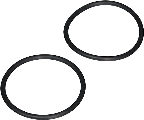 Jandy R0337600 VS FloPro 1.85/2.7 HP VS Pump Tailpiece O-Ring (2) â€“ Vs Flopro 0 85 And 1 65 Hp Parts And Accessories