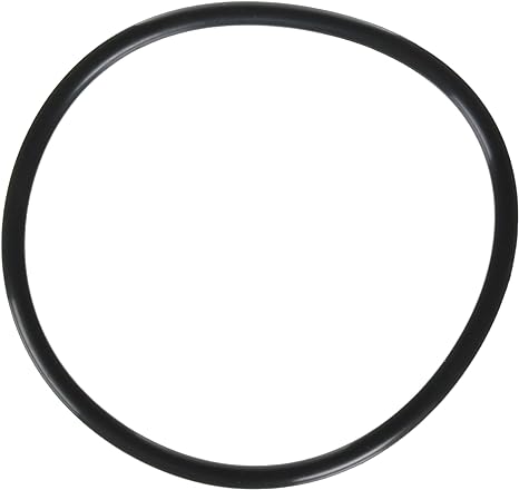 Jandy R0480200 VS FloPro 1.85 HP VS Pump Lid O-Ring â€“ Vs Flopro 1 85 Hp Parts And Accessories