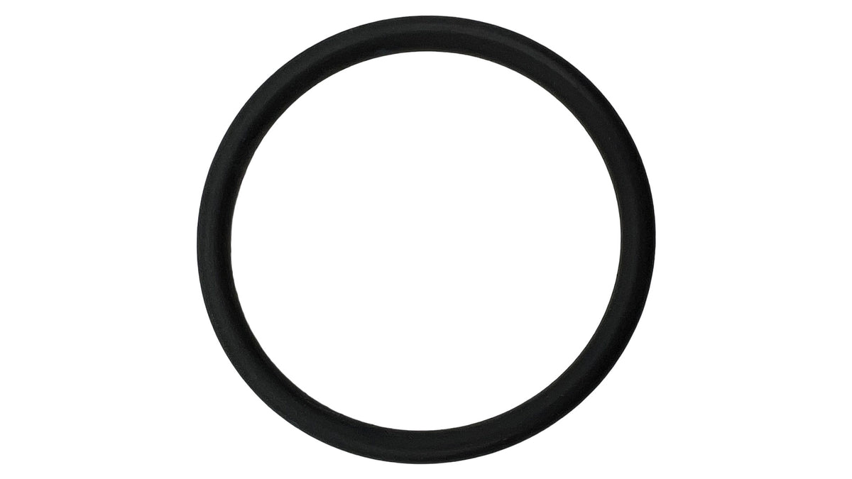Hayward TriStar VS 900/950 Omni Pump Diffuser O-Ring - Ecostar Pump Parts And Accessories || SPX4000Z1