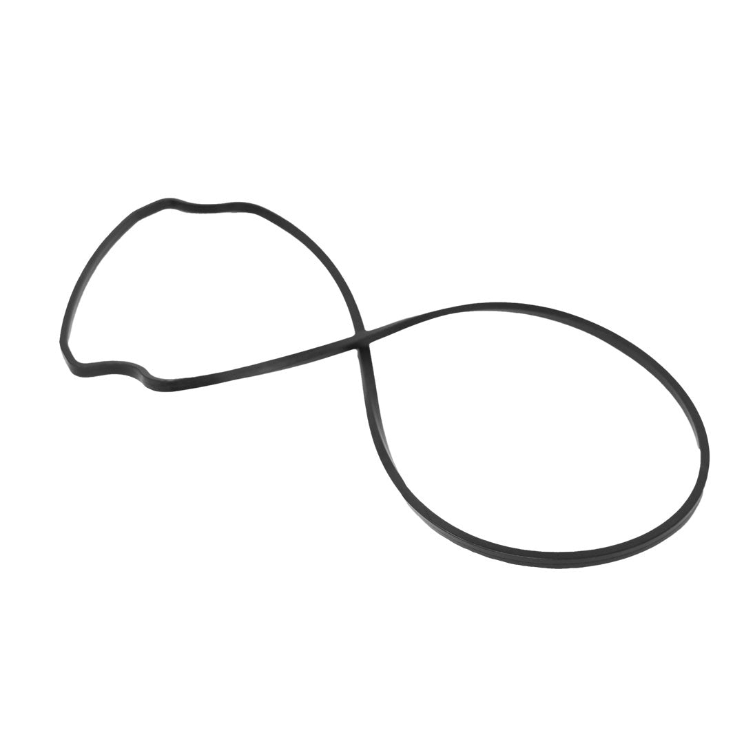 Pentair 357100Z Seal Plate Gasket (Black) Ã¢â‚¬â€ WhisperFlo / IntelliFlo Pumps â€“ Whisperflo Pump Parts And Accessories