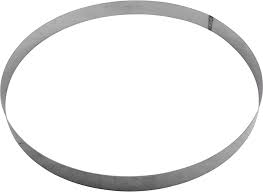 Pentair 195339 19" Stainless Steel Backup Ring for DE & Cartridge Filters â€“ Clean Clear Plus Cartridge Filter 320