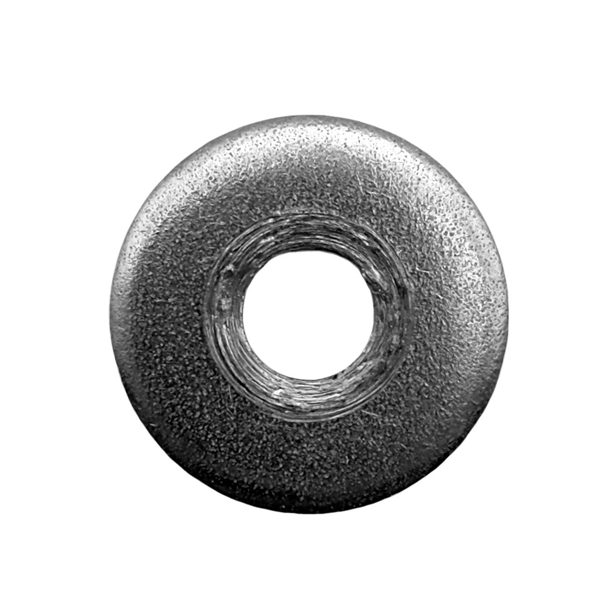 Pentair 195610 Stainless Steel Small Diameter Washer – Clean Clear Plus Cartridge Filter 320
